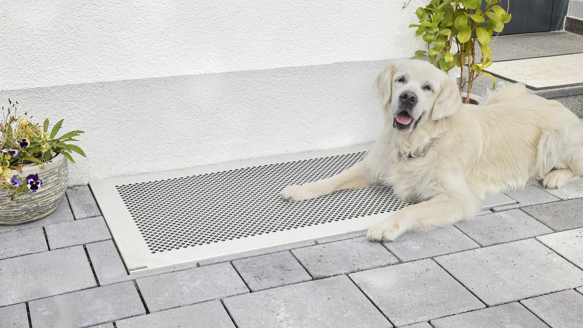 Edelstahl Lichtschachtabdeckung begehbar