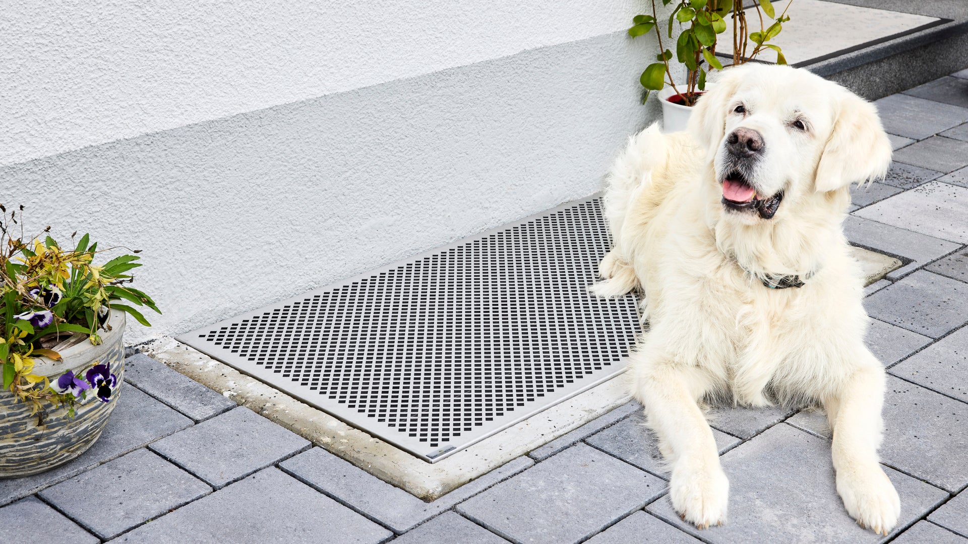 Lichtschachtabdeckung begehbar